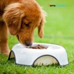 PAX Food and Environmental allergy for dogs
