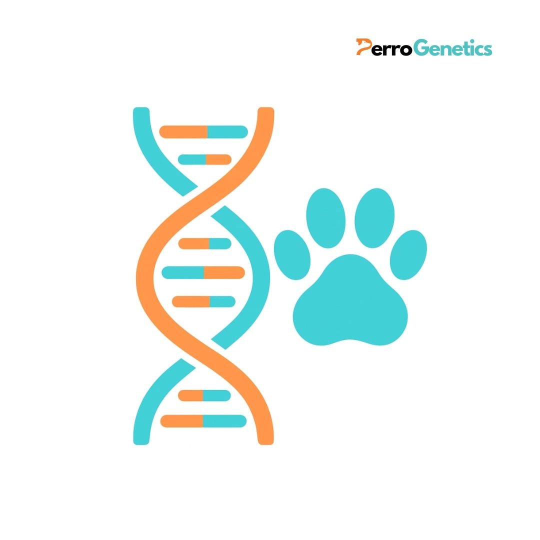 Product Images (3) Genetic profile DNA, premium SNP (ISAG2020) - Image 1